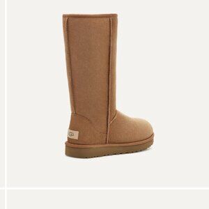Tall Chestnut Ugg Size 7